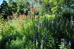 25D Shakespeare Garden In Central Park West Side 79-80 St.jpg